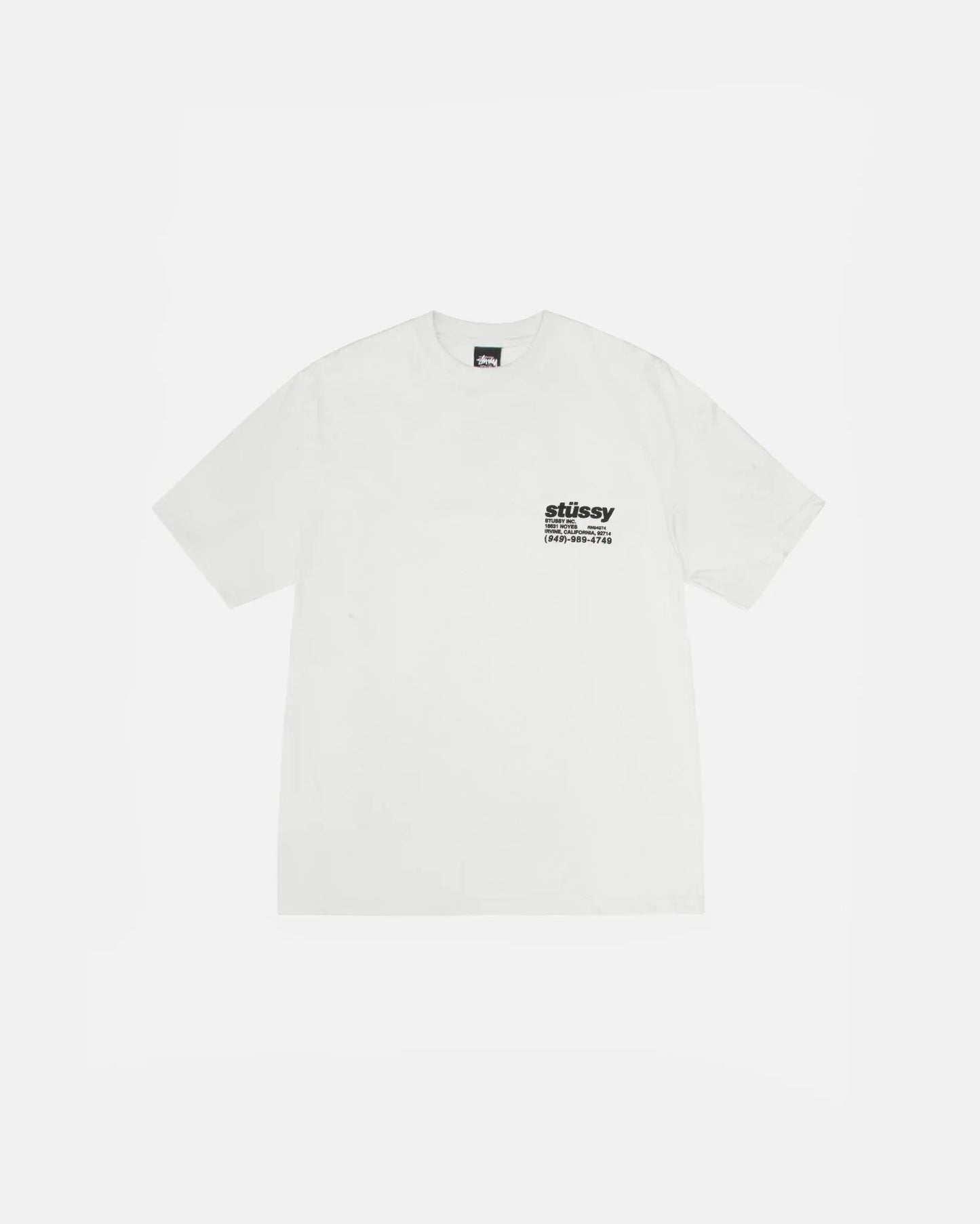 Stussy DNA Tee Pigment Dyed Natrual